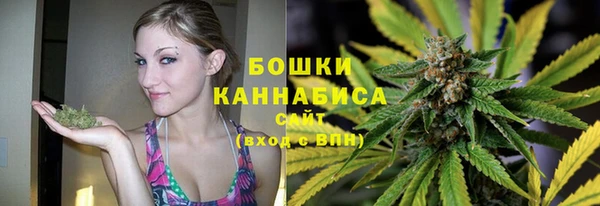 соль ск Абаза