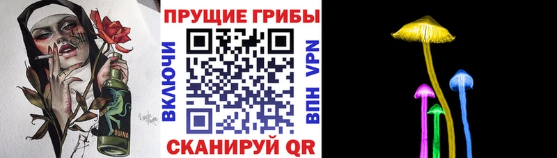 Галлюциногенные грибы Magic Shrooms  сколько стоит  мега ССЫЛКА  Котовск 